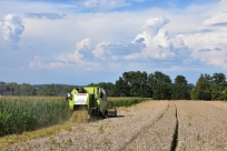 Żniwa w gminie Goleszów